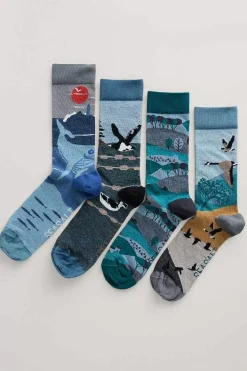 Box Of 4 Men's Postcard Socks