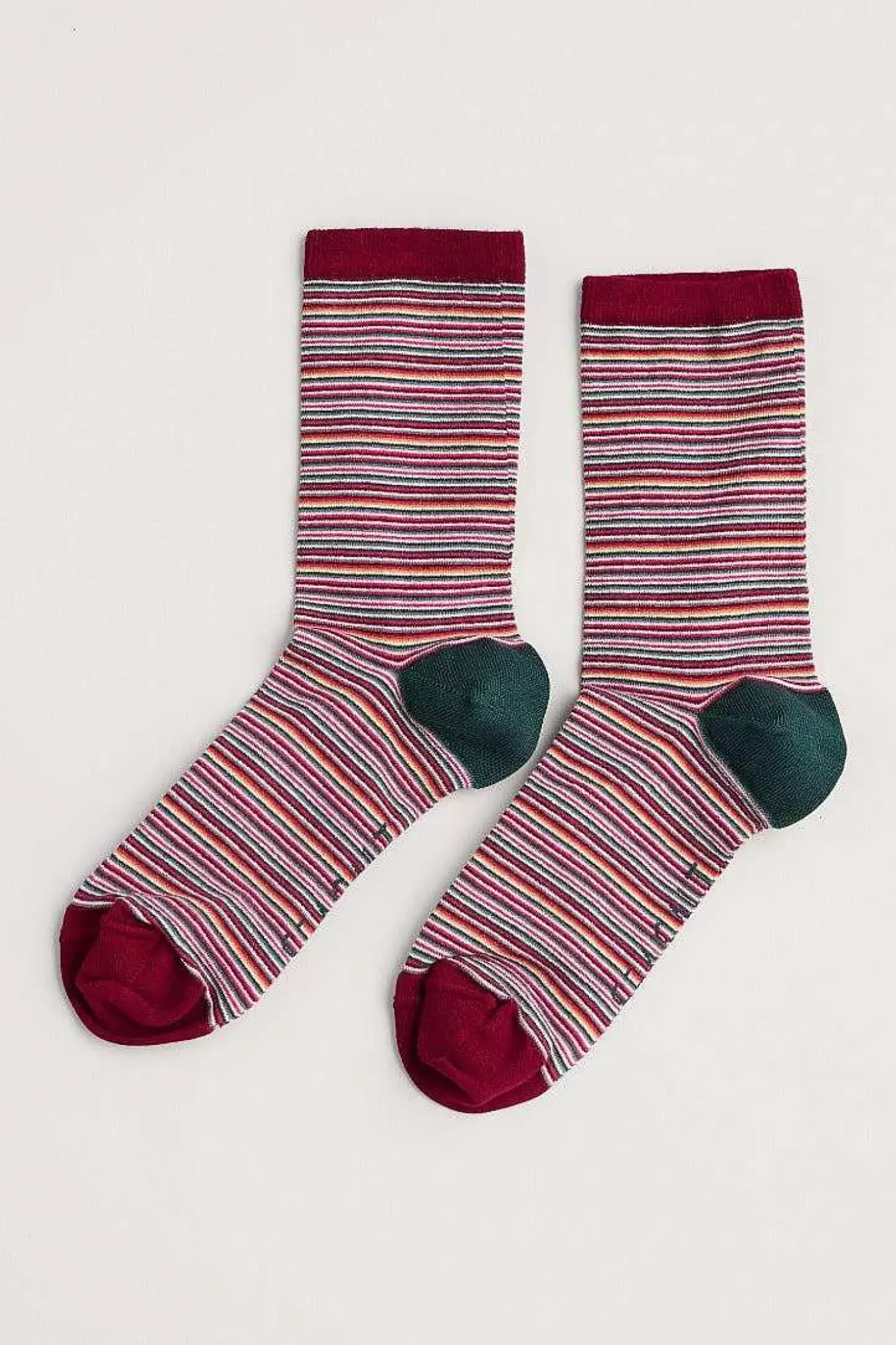 Women's Everyday Socks